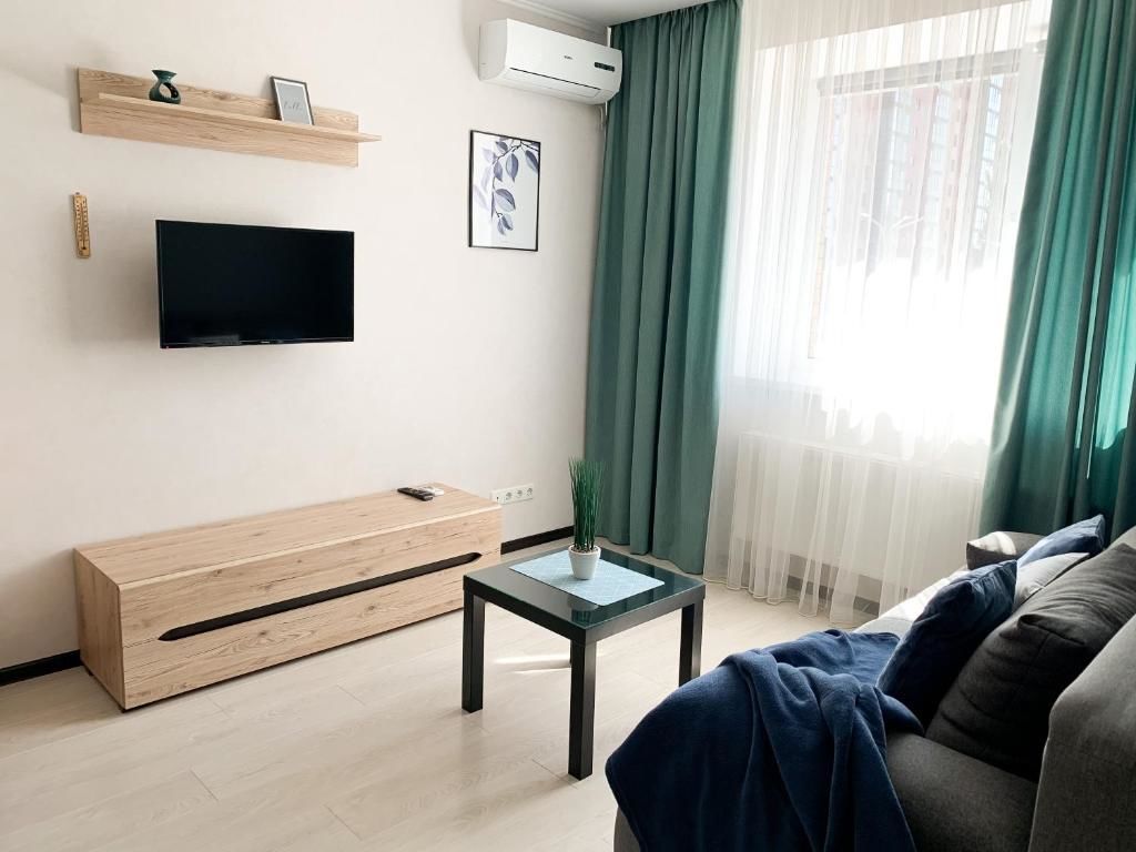 Апартаменты Blue apartments on Kotsyubinsky Avenue Винница-63