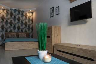 Апартаменты Blue apartments on Kotsyubinsky Avenue Винница Апартаменты с 1 спальней-21